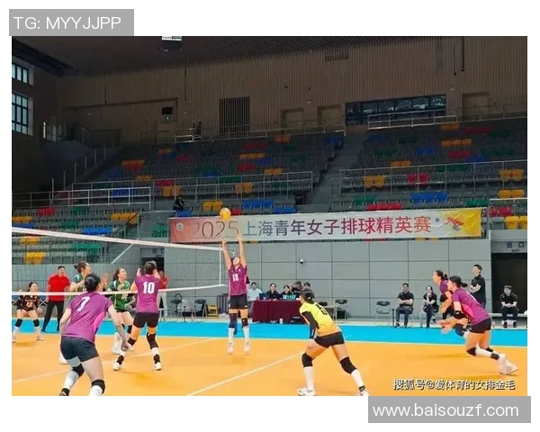 排球热点：解读上海排球队的区域防守